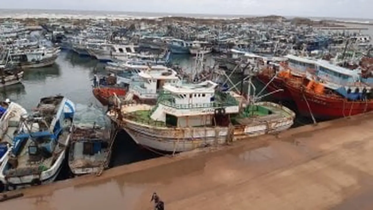 لليوم الرابع.. سوء الأحوال الجوية يوقف حركة الصيد والملاحة بميناء البرلس كلياً